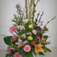 Flores primaverales de temporada - P6