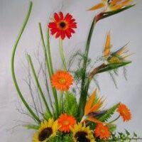 Arreglo floral exótico de girasol, gerberas y ave del paraíso - E18