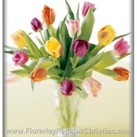 Florero de Tulipanes - F5