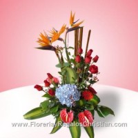 E8 - Aves de paraíso con hortencia y rosas