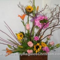 Arreglo de tronco y flores surtidas - E58