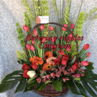 NU4 - Hermosa canasta de flores con tulipanes y gerberas. Envío a domicilio en Tijuana.